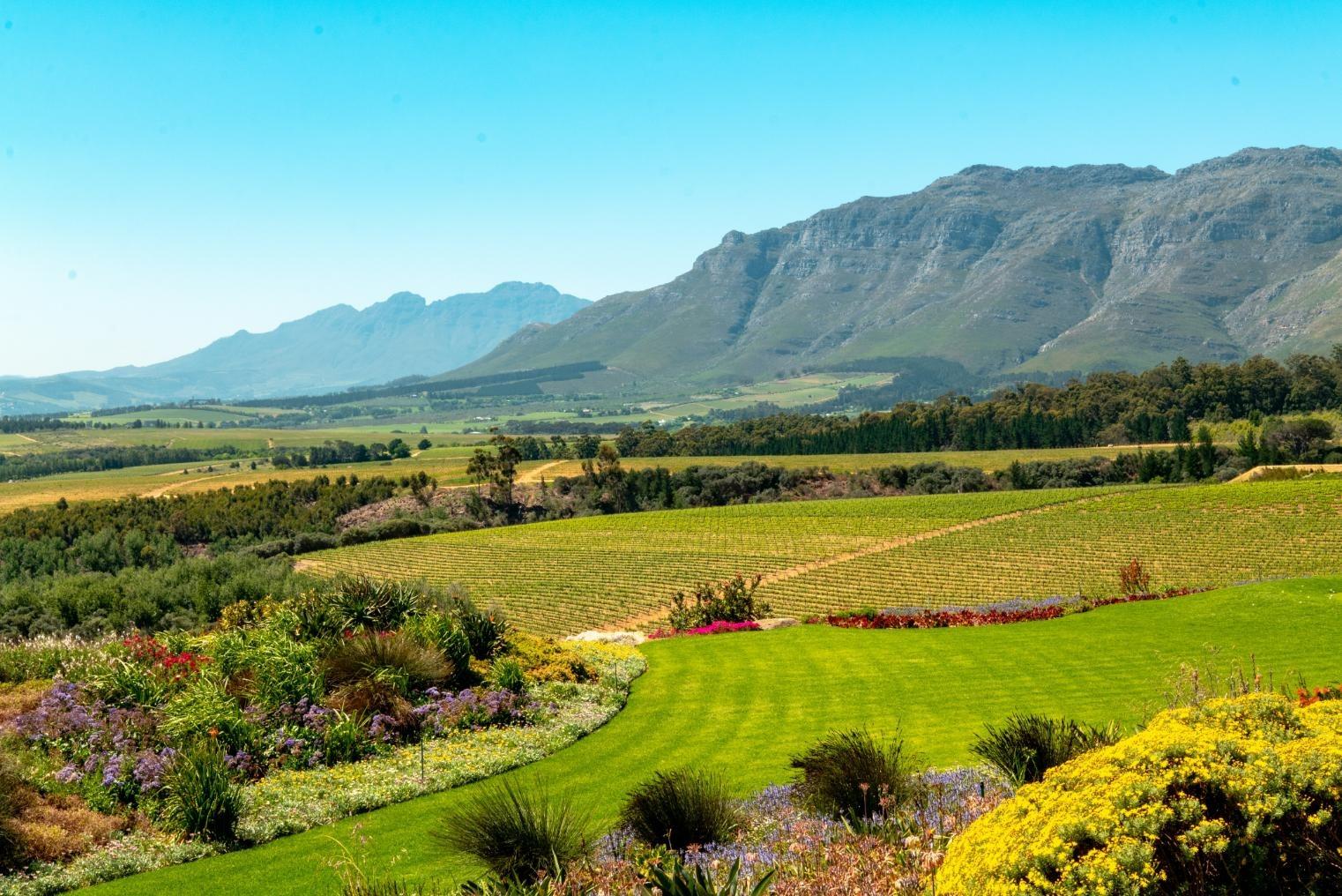 Cape Winelands Mountains