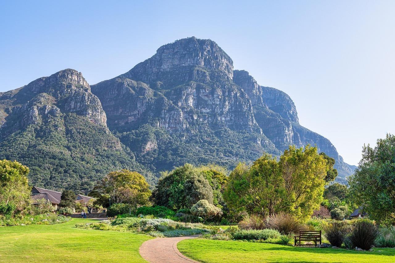 View of mountains from Kirstenbosh Gardens